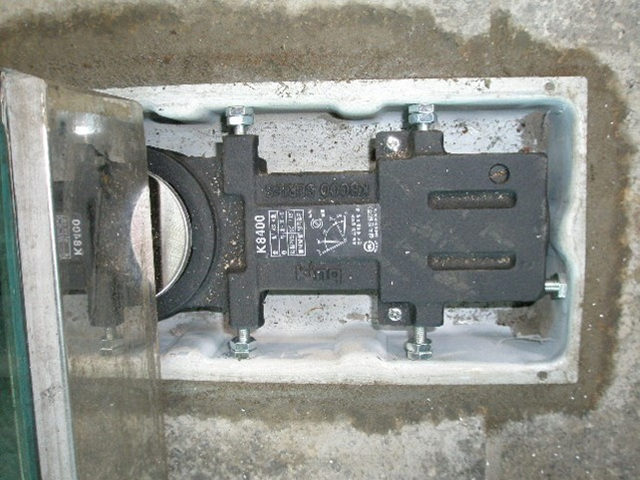 9908d192cb5c7ca481fdafc43bae3ff5_1628579602_5933.jpg
